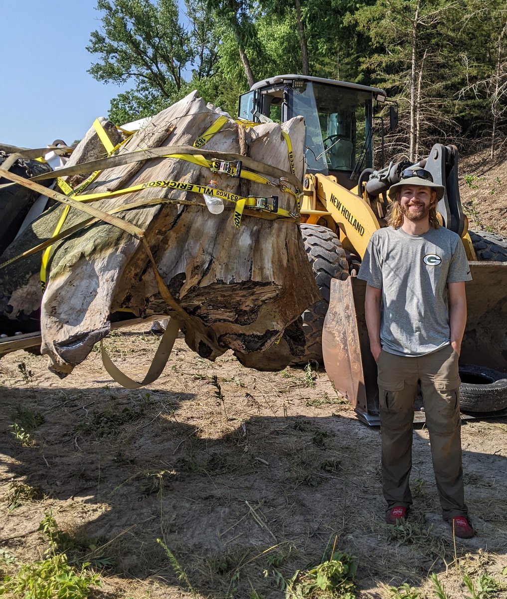 Check out this amazing fossilized tree stump that we collected from north-central Nebraska! It's over 15 ft. in circumference and 6+ ft. in diameter. It's from a time when Nebraska was a more forested environment (~15 mya). It was so cool to help with this project!#FossilFriday