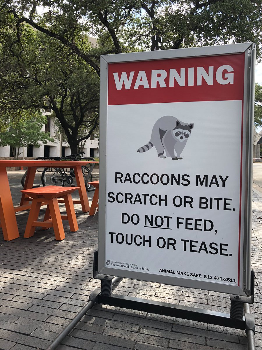 Does <a href="/UTAustin/">UT Austin</a> have official “DO NOT FEED, TOUCH, OR TEASE” merch? Because I may need a t-shirt.