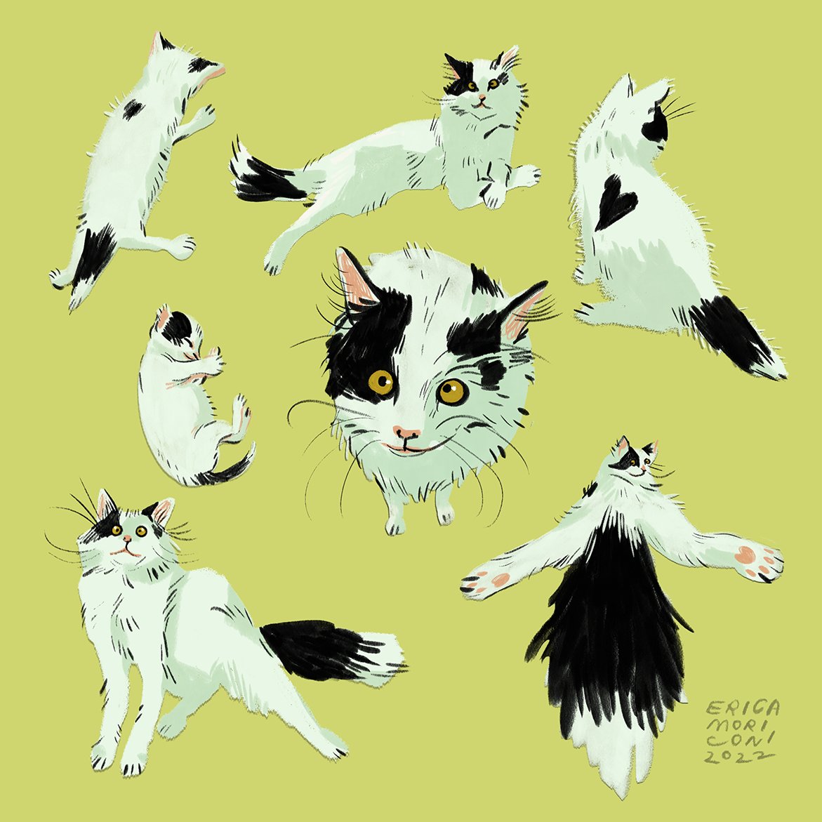 erica_moriconi's tweet image. one year ago a little tube of toothpaste was born, now a very large fluffy young man 🖤 hbd breakfast sandwich !! @itslittletunny