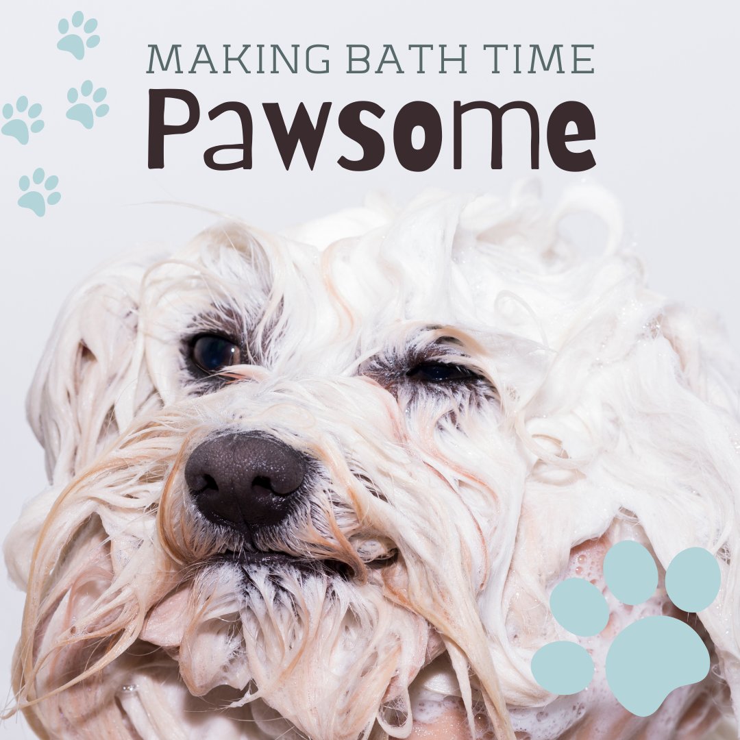 warriorwash1's tweet photo. Making bath time pawsome!

#DogWash #CleanPup #SWVA https://t.co/bjuotl6aXm