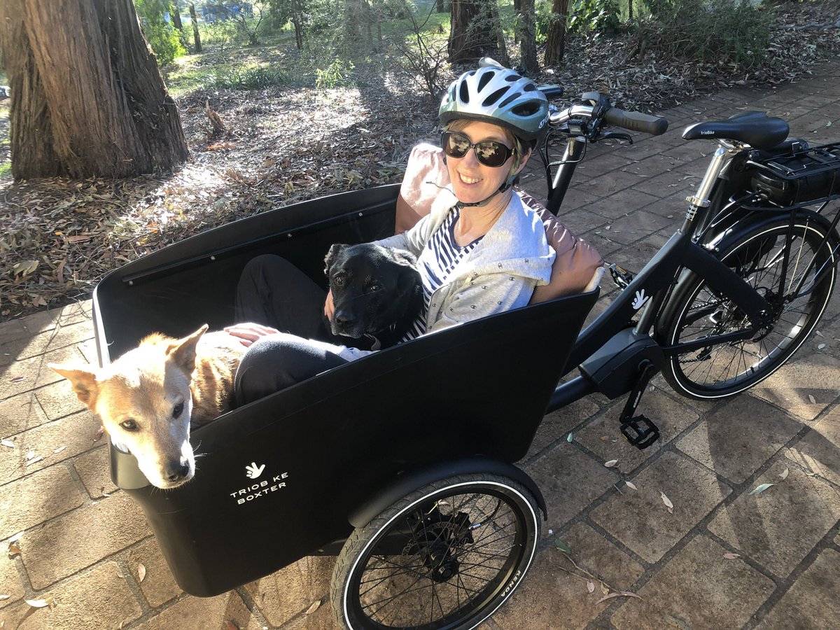 Doug_Reckord's tweet photo. @AlexaDelbosc I’ve done 6400km on my Triobike Boxster e-bike . There is a learning curve wrt stability and is a bit heavy so steps may be a problem.
I love it and it is very functional transport as you can see from this family pic!😀 May be quite exxy atm but if you replace car trips it pays https://t.co/E2qmIRgGgY