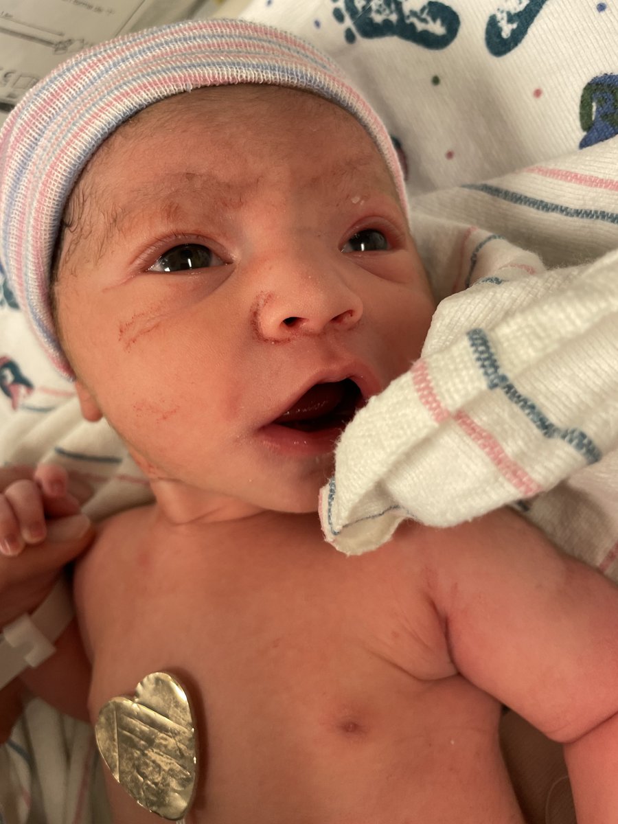 Mike Schumacher tweet media