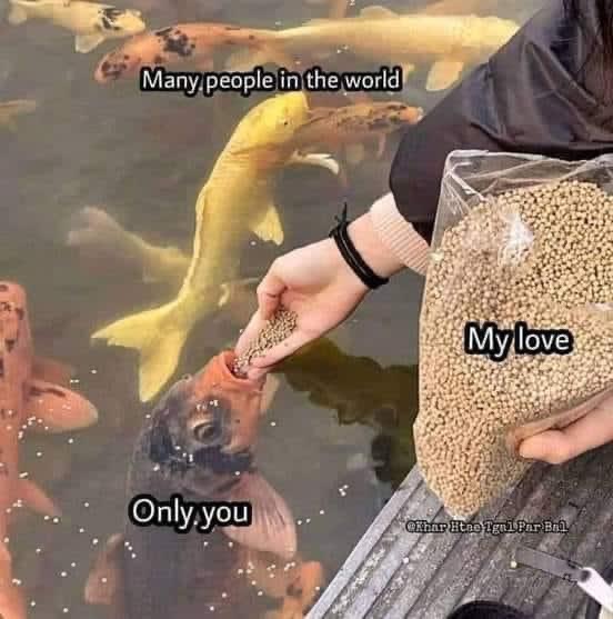 ordure (@ordurebizarree) on Twitter photo 