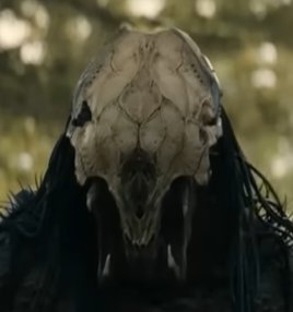 AManIsNoOne tweet media