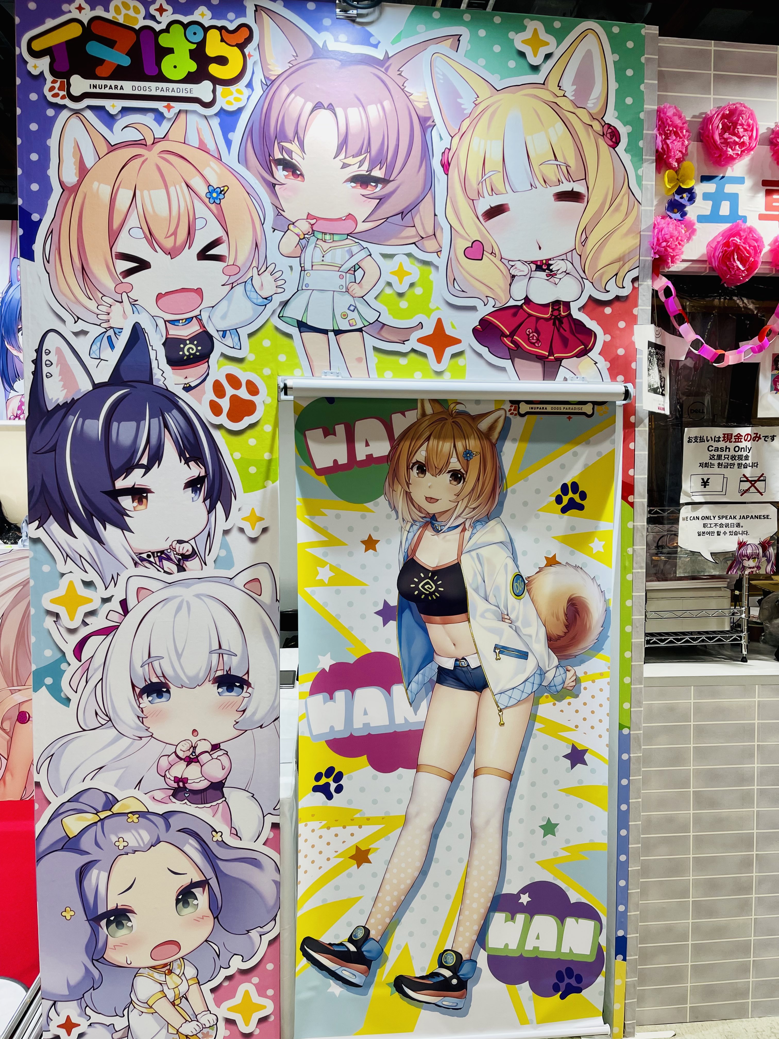 ネコぱらCS Official (@nekopara_cfk) / X
