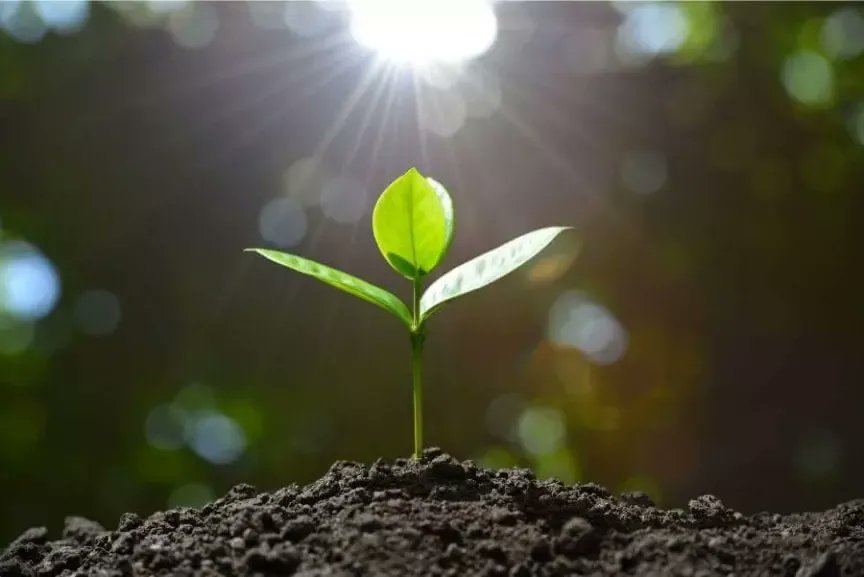 Aldragod's tweet photo. Wish I was born a photosynthesizing plant... https://t.co/dPM3Ur1d7p