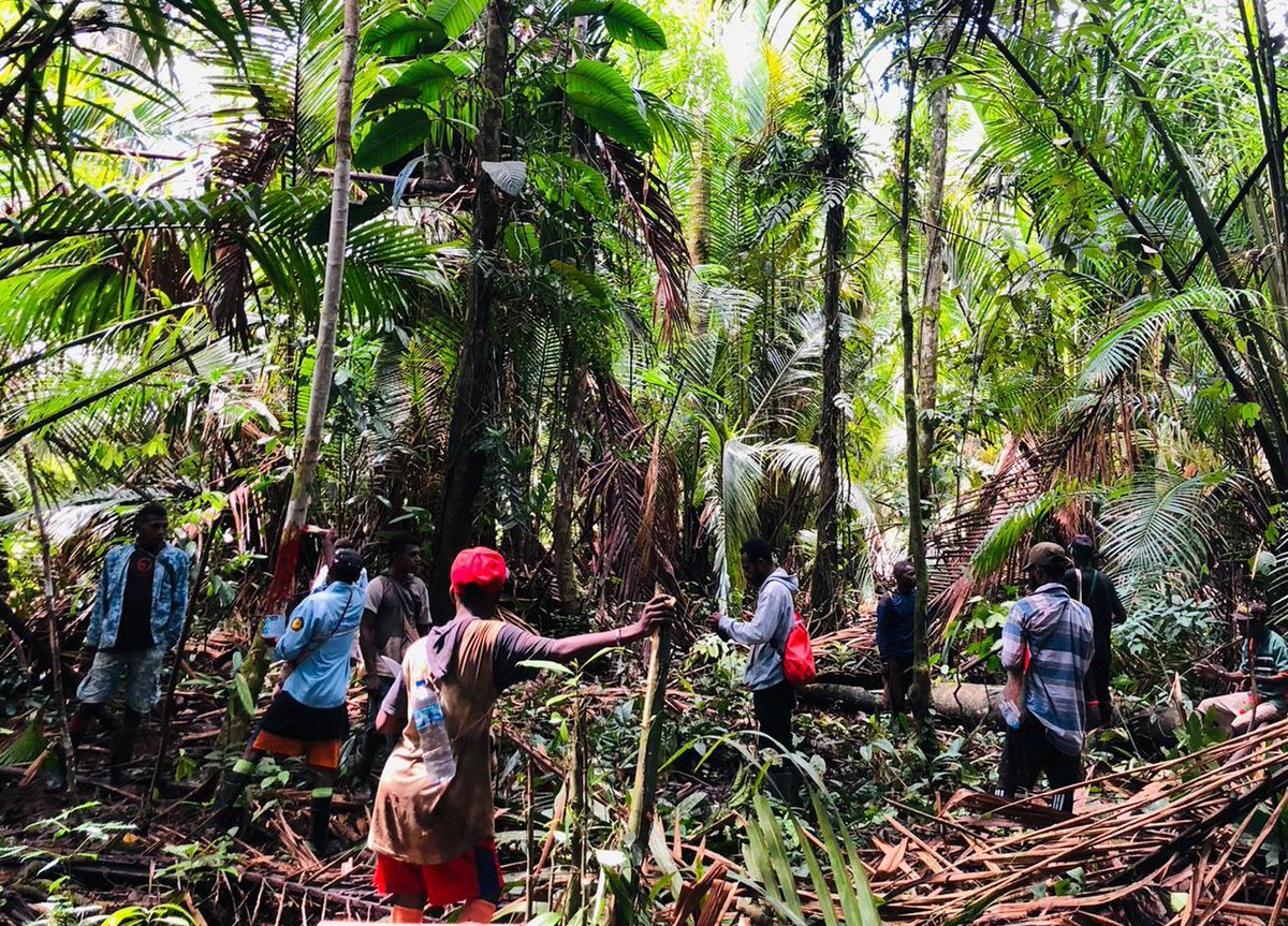 angkytm's tweet photo. Penguasa bergerilya dr gedung parlemen hingga ke daerah frontier. Pemuda suku Moi digaris depan menyelamatkan alam, menjaga warisan moyang. #HakMasyarakatAdat #JagaHutan #HutanJagaKita #ForestDefender #StopDeforestation @BentalaRakyat https://t.co/FczX0VaRVT