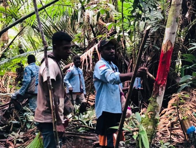angkytm's tweet photo. Penguasa bergerilya dr gedung parlemen hingga ke daerah frontier. Pemuda suku Moi digaris depan menyelamatkan alam, menjaga warisan moyang. #HakMasyarakatAdat #JagaHutan #HutanJagaKita #ForestDefender #StopDeforestation @BentalaRakyat https://t.co/FczX0VaRVT
