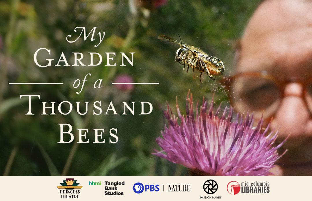 ProsserPrincess's tweet photo. So much time? - https://t.co/i5EpSWVJFj #WillyWonka #Auditions #WW #Musical  #DirectorApplications #MyGardenOf1000Bees #PlantWildflowers #MCLProsser #ColumbiaBasinNativePlant Society #Encanto #EncantoEnEspanol #ProsserTHRIVE #TargetZero #TourProsser #HistoricProsser https://t.co/E5cEigDeYy