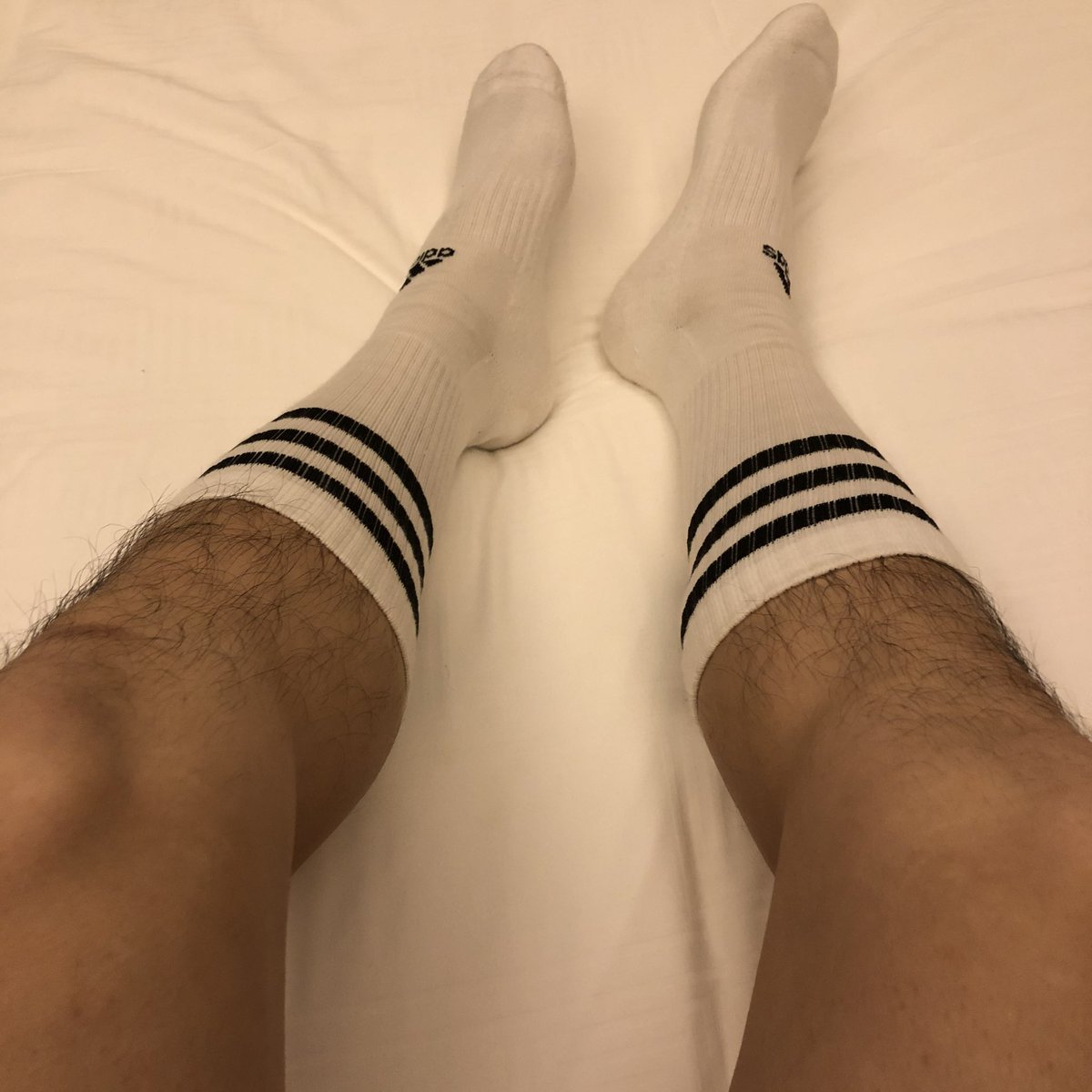 图图小耳朵 tweet media