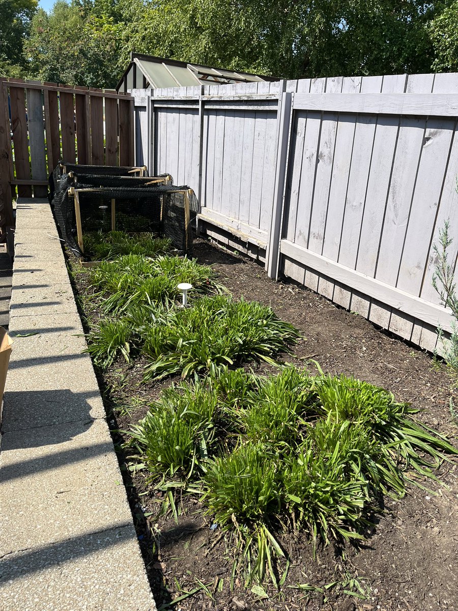 Cheyenne Morris tweet media