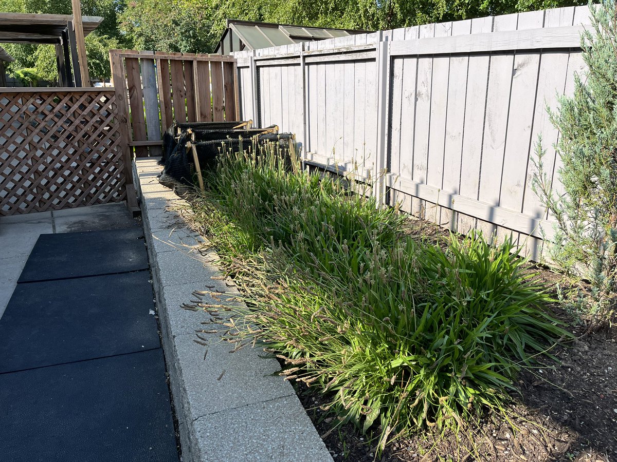 Cheyenne Morris tweet media