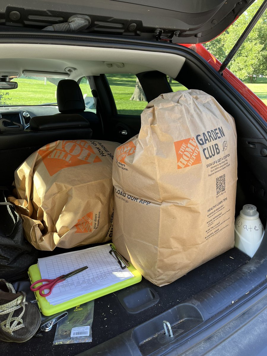 Cheyenne Morris tweet media