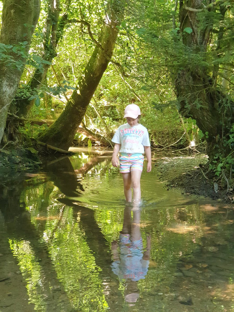 #3goodthings 
1. Fablous morning in the shelter of the woods with wonderful friends
2. Swollen face is going down thank goodness
3. The other half's covid test is clear and we can go home again