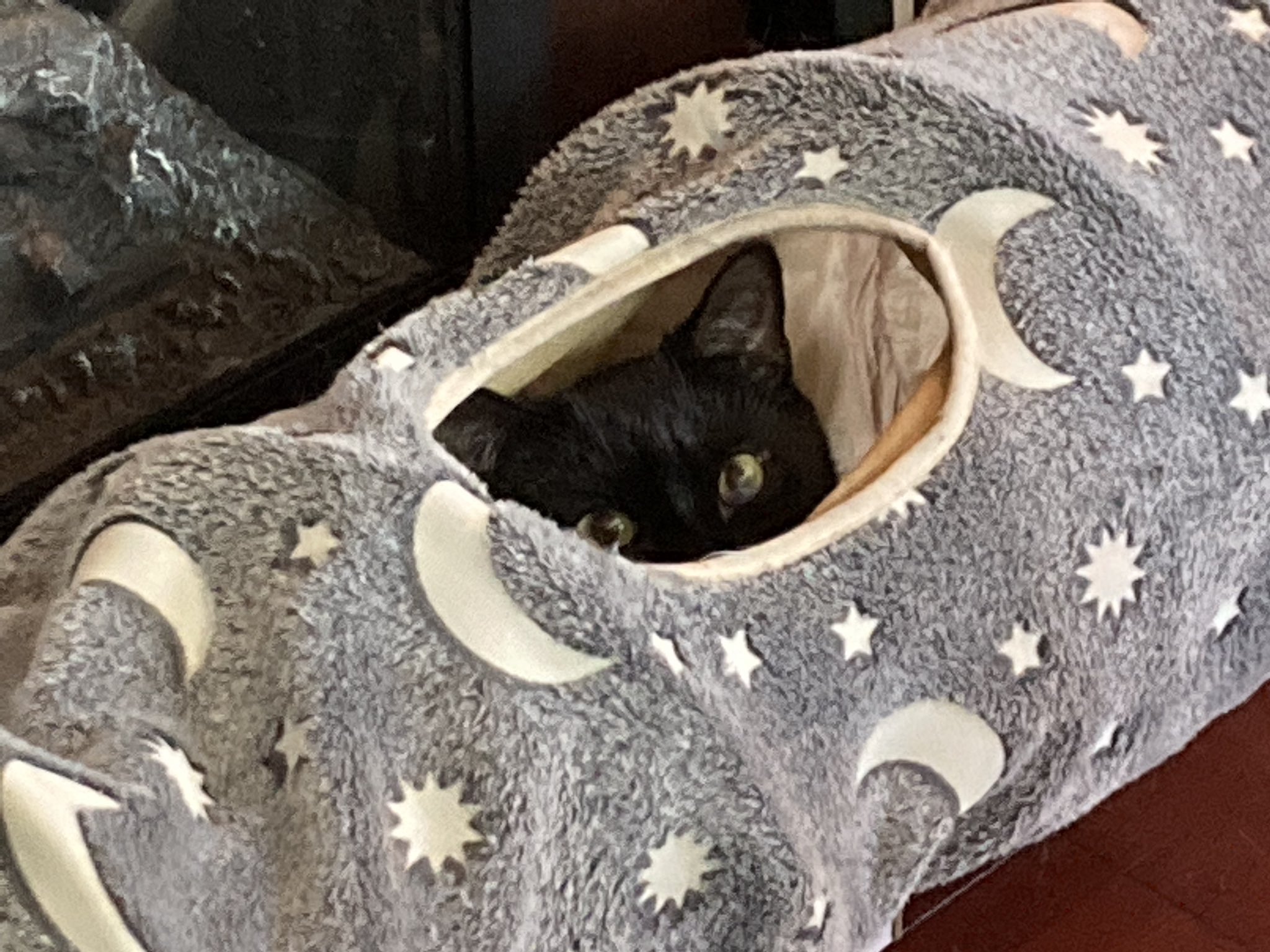 Insert trendy bandwagon topic with emojis here on Twitter "I feel like