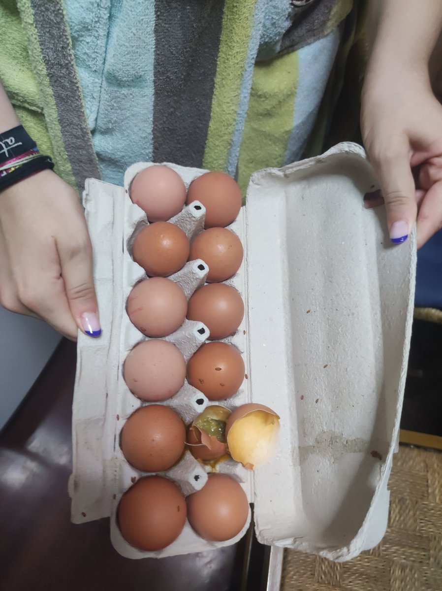 Celiimiranda1's tweet photo. @Lupa_esp Hoy hemos ido a comprar y en el paquete de huevos nos hemos encontrado un huevo podrido y la caja llena de larvas. 
Lo ocurrido es un hecho intolerable y atenta contra la salud pública.
Espero que nos den una solución propia de una empresa como la vuestra.
@Lupa_esp https://t.co/T0vNN6dcTN