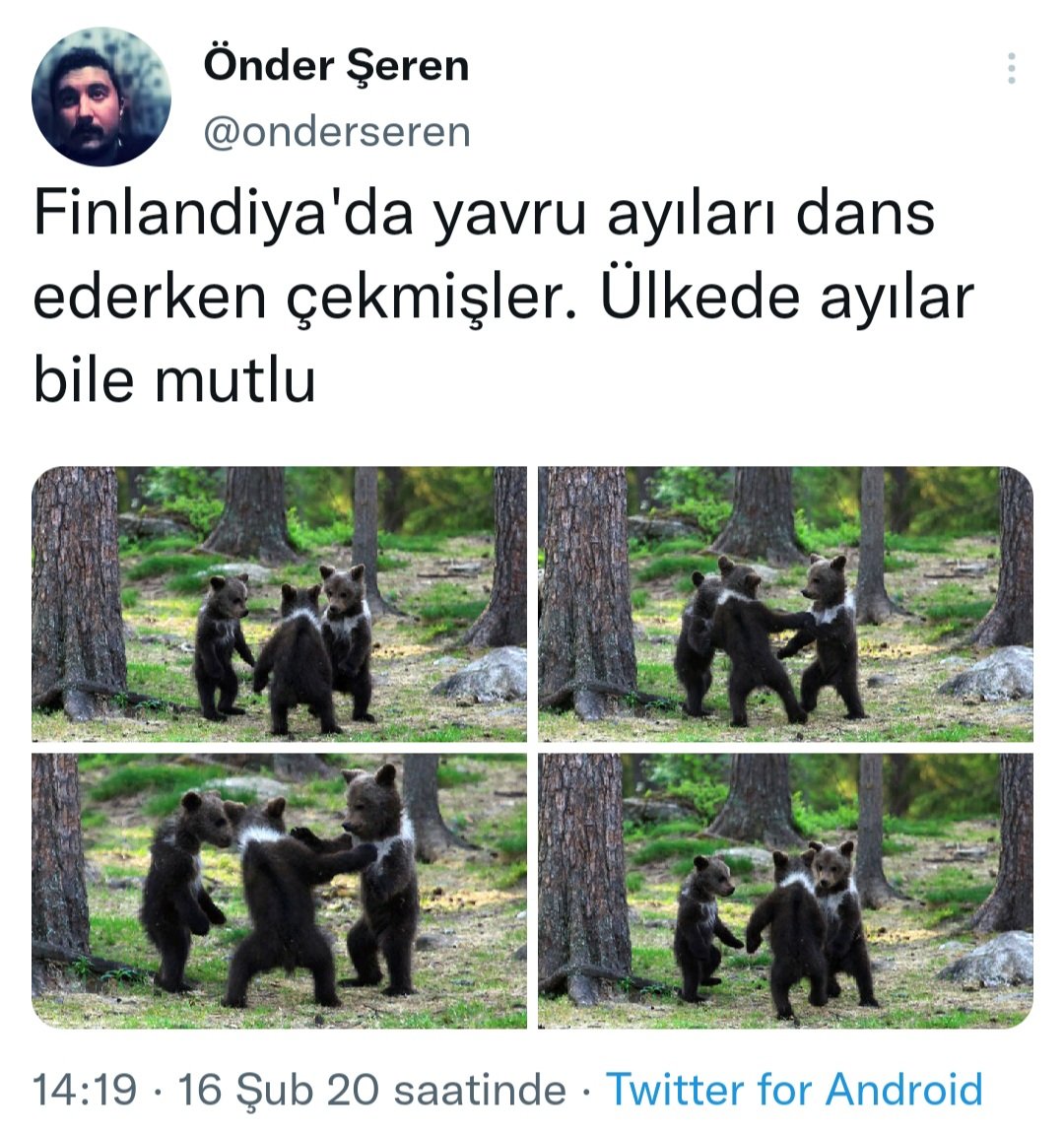 onderseren's tweet photo. Ayılar için bile coğrafya kader https://t.co/8j6H9RtLUb