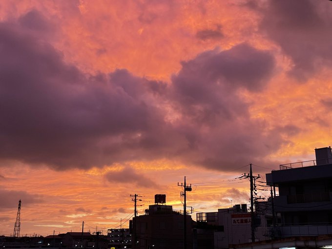 うーん波乱の予感…。 