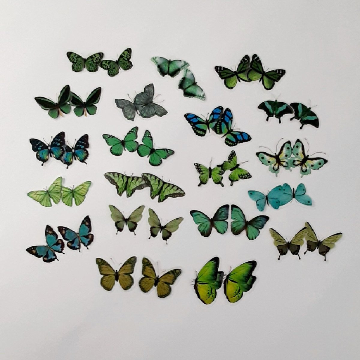 woorinaraetsy's tweet photo. Excited to share the latest addition to my #etsy shop: The butterfly flake stickers https://t.co/MeDnspT5EL #kidscrafts #diecutsticker #clearsticker #stationery #sticker #butterfly #laptopsticker #decalsticker #woorinara
https://t.co/kuei0UPkkz https://t.co/aPcZ4i4Sr3