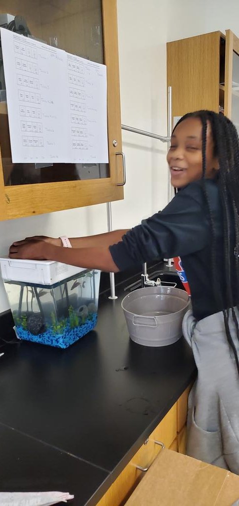 Our young <a href="/McNairFCS/">Dr. Ronald E. Mcnair</a> scholar is all smiles as she sets up our class Aquaponics. #herewegrow #middleschoolscience #fcs #zone1 #7thgrade