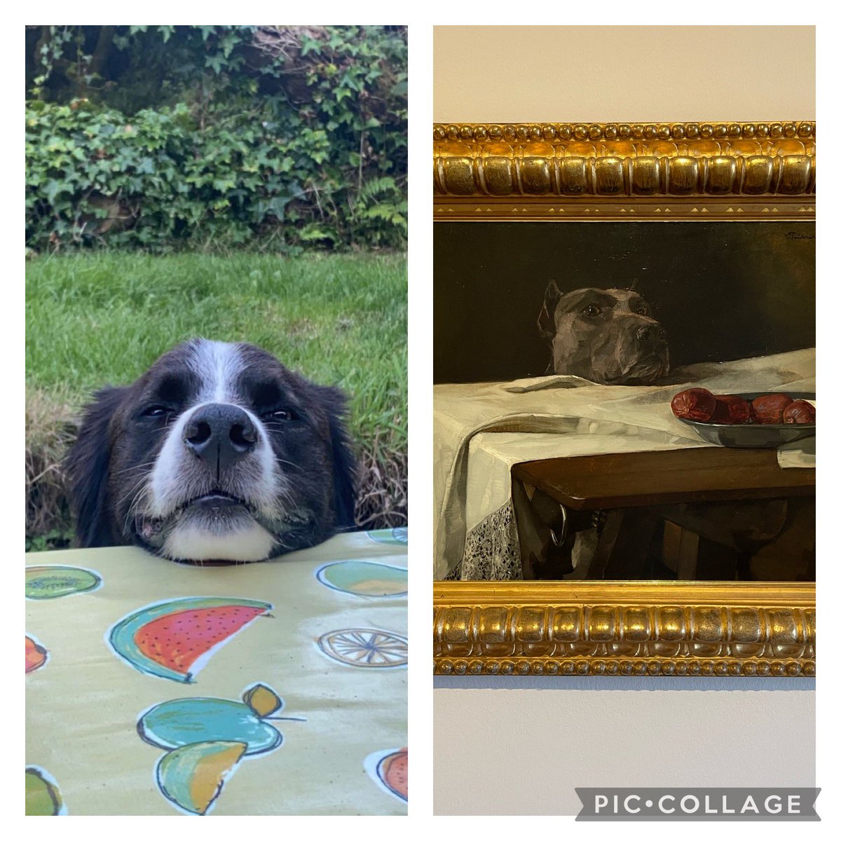 When your dog could be the subject of a work of art 🐾#DogsofTwittter #viennART #Belvedere #Austria @LanesTree <a href="/BCRescueUK/">Border Collie Rescue</a>