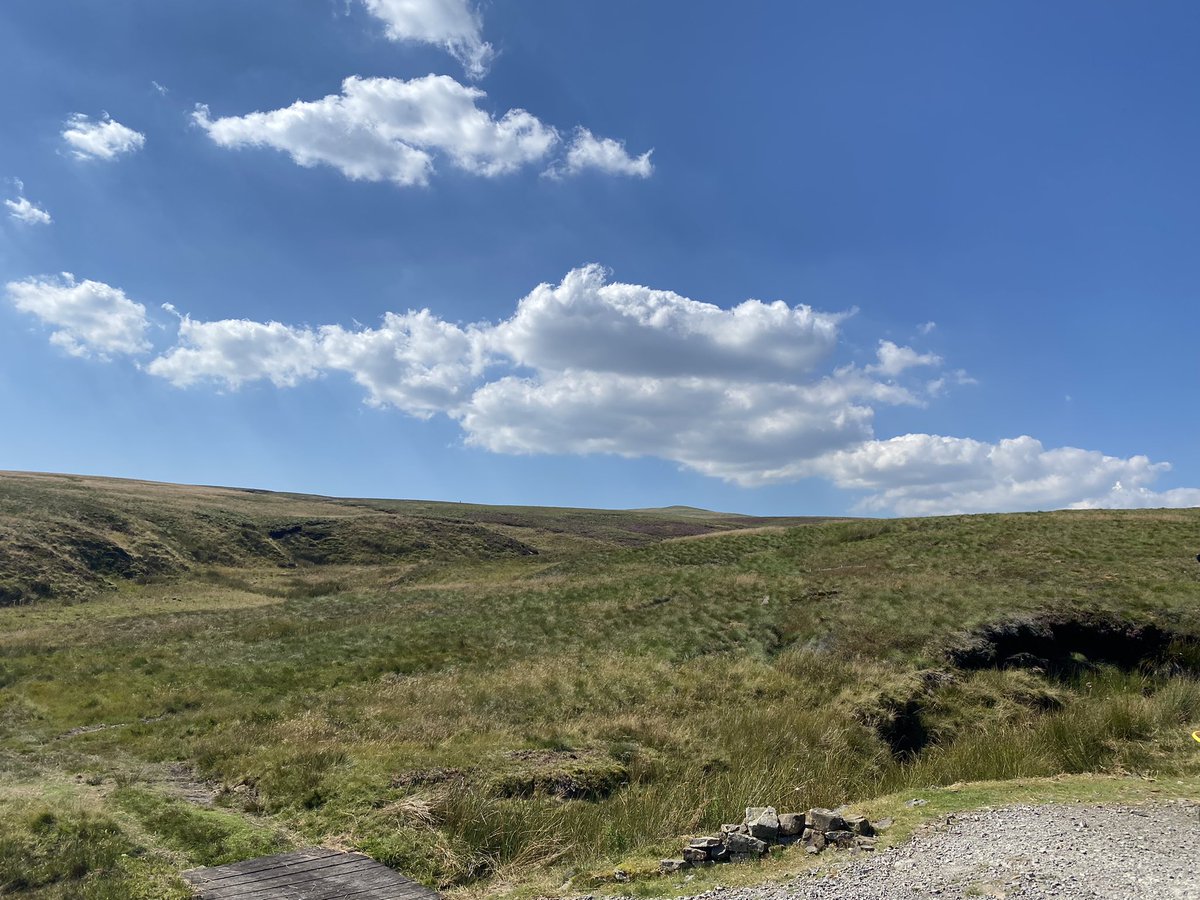 lynnslabs's tweet photo. #glorious12th  @ShootingTimes amazing day we’ll done to everyone who’s been out today - it’s been hot🌞🌞🌞#grouse   #GloriousTwelfth #shooting #cumbria #gundogs https://t.co/XXJ0KLIQhH