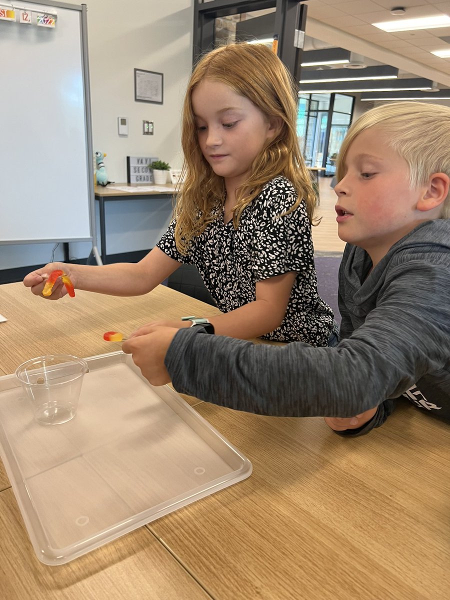 Kristen Cannady tweet media