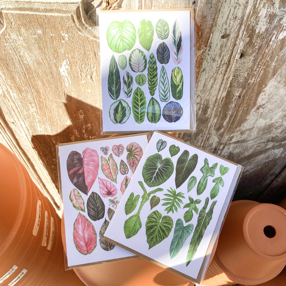 The NASA Guide to Air-Filtering Houseplants - mailchi.mp/cultivateurban…