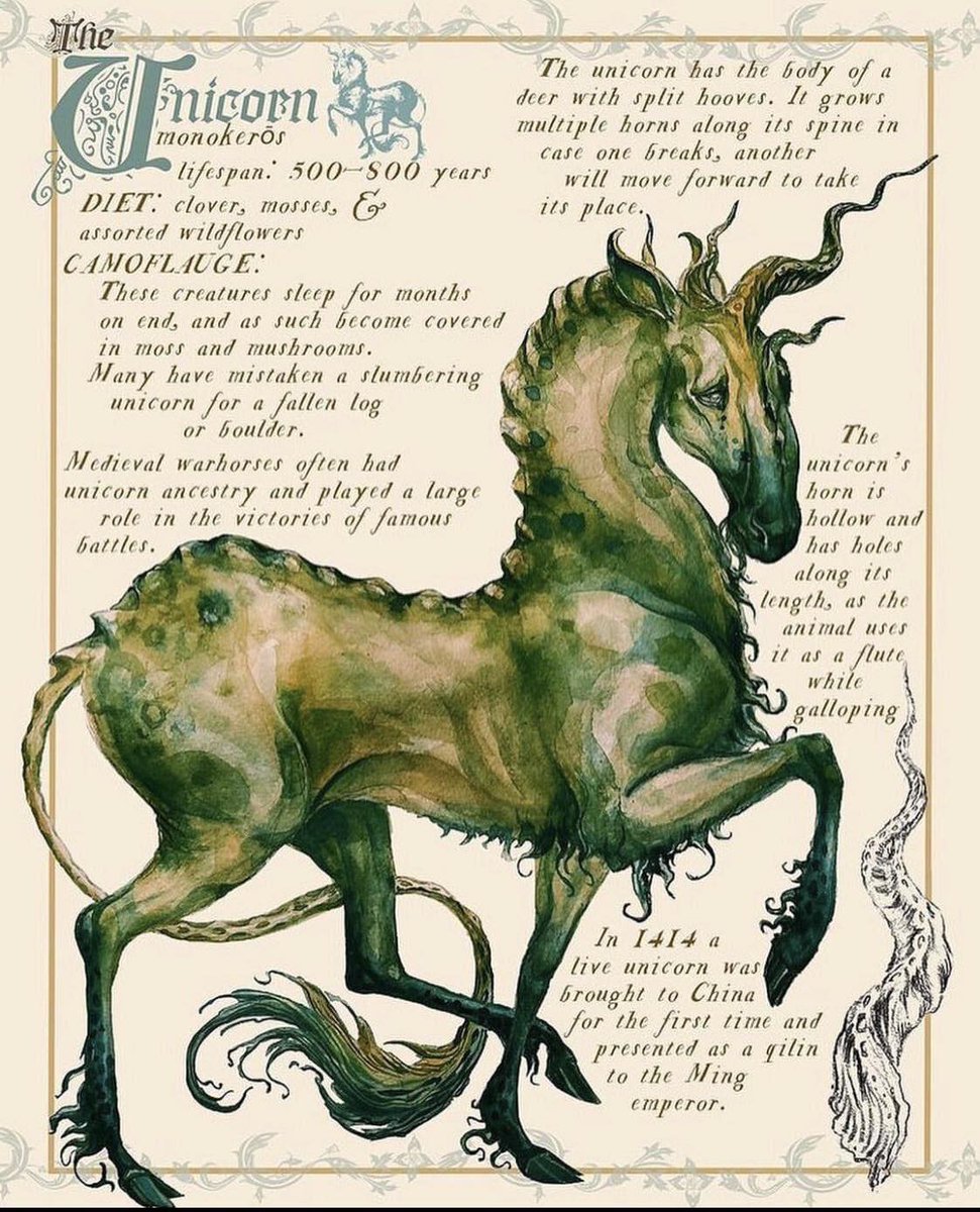 thewitchbrmclst's tweet photo. The Unicorn https://t.co/IsGPPCDkDf