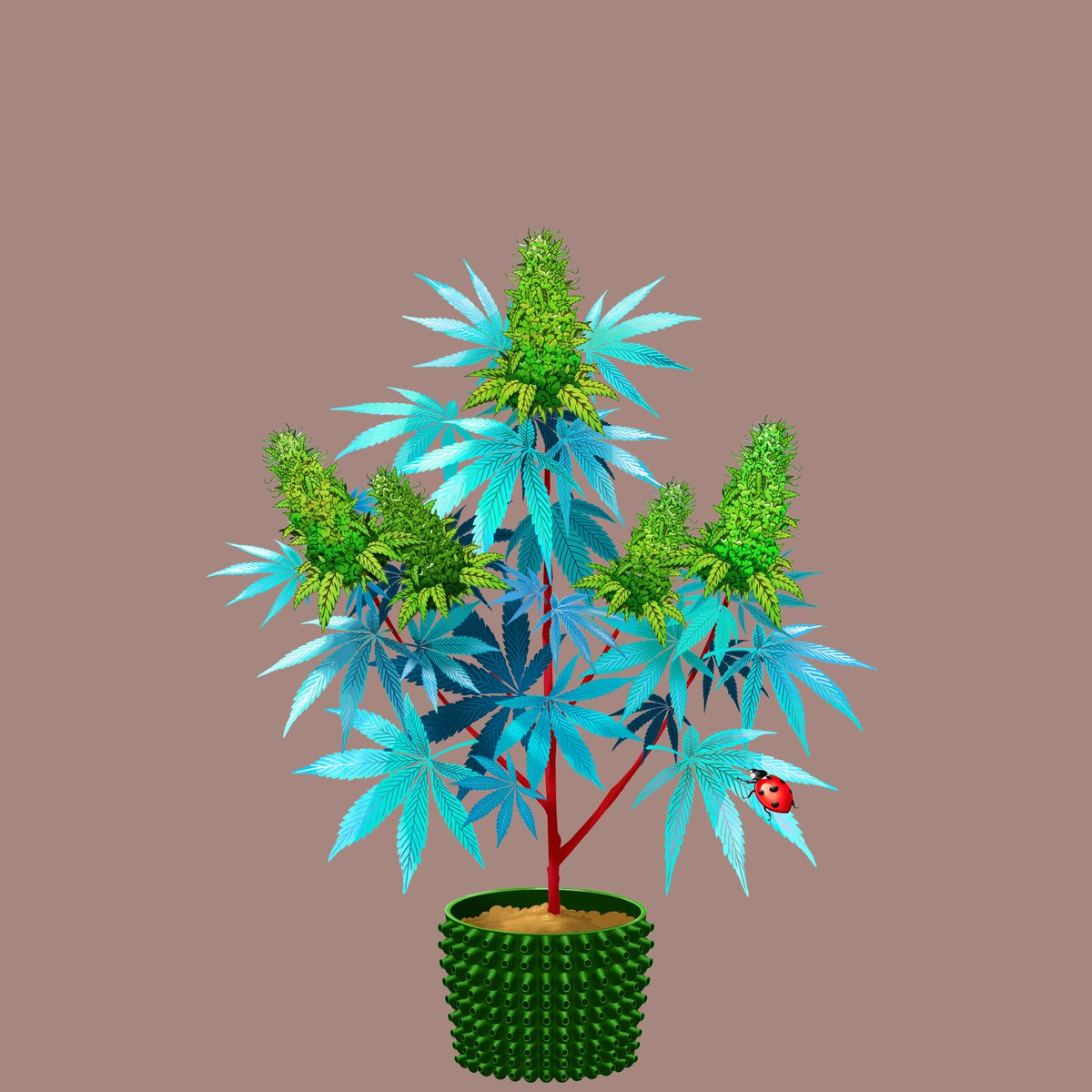 Congrats to <a href="/alex_marquardt/">🇨🇦 marquardt.eth #skol</a> 🍾

Winner of NFTokin 10929 🌱

Get that plant into the next weekly competition! 
app.cryptocannabisclub.com

#CCC #NFT #Giveaway #Winner #NFTokin