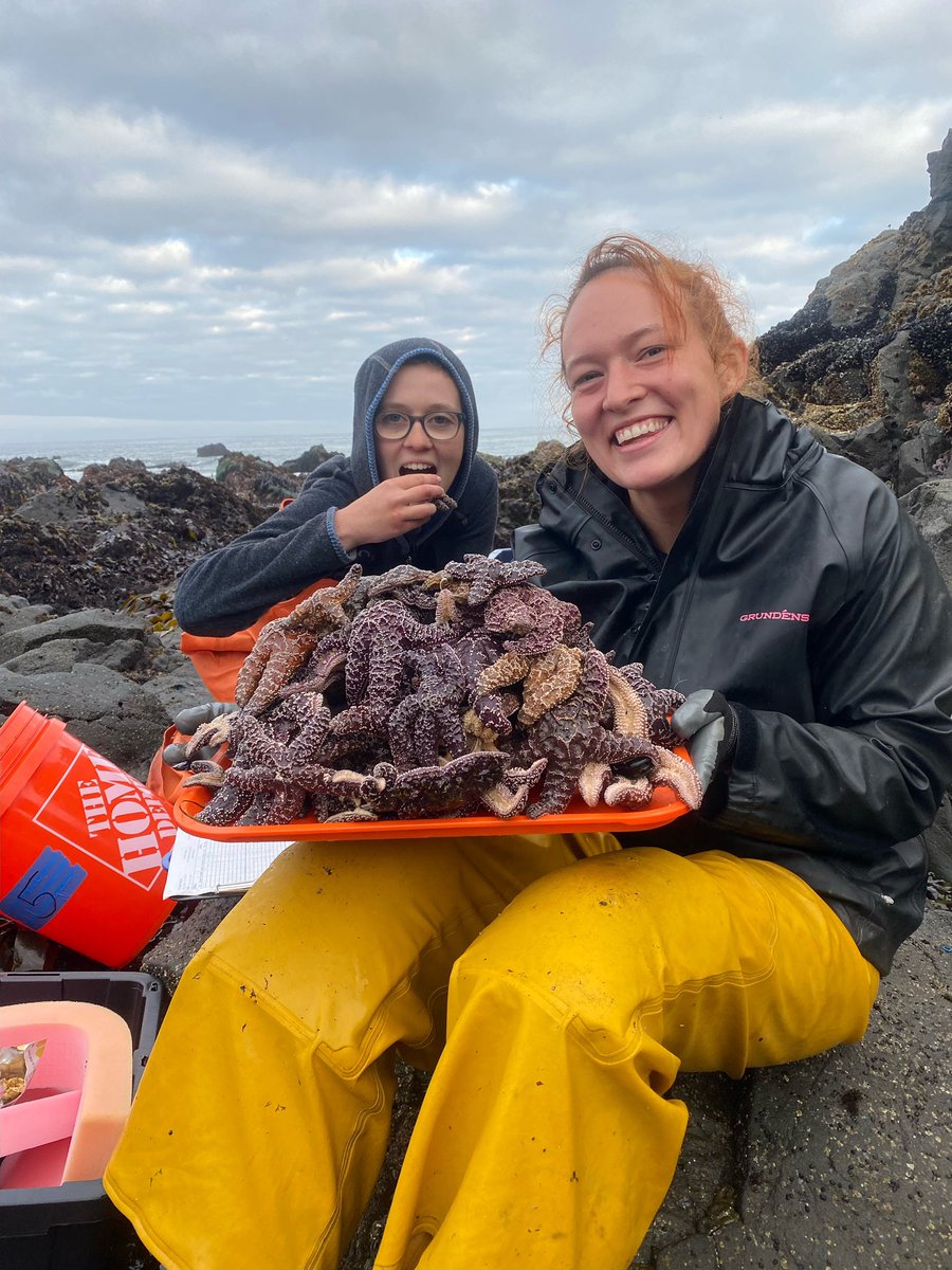 Dr. Sarah Gravem tweet media