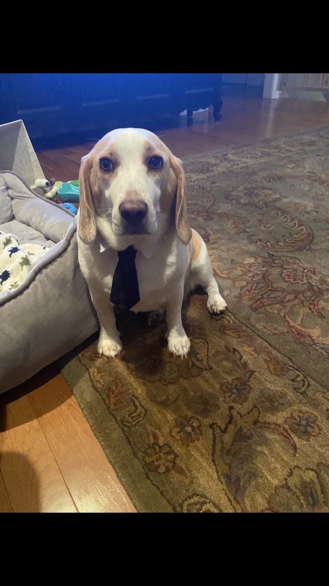 tyler (@tylerhinterser) on Twitter photo 