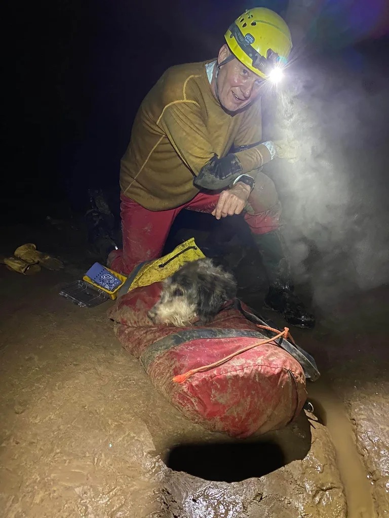 nuriapiera's tweet photo. Una perra desapareció misteriosamente: la encontraron dos meses después a 150 metros bajo tierra https://t.co/LSgkxzUoKj #NDigital https://t.co/aCL8dUOFOE