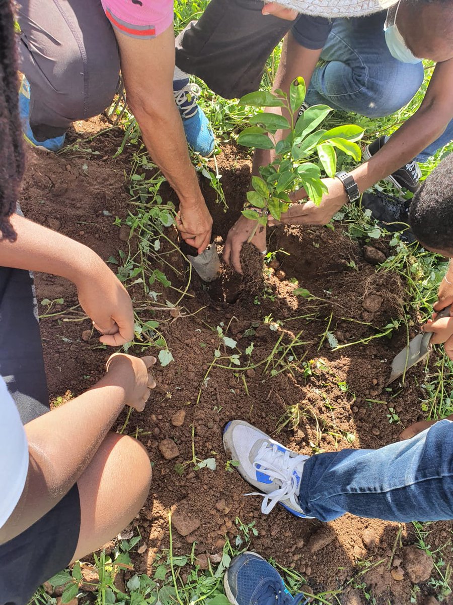 For #IYD2022 we celebrate the power and potential of young people. <a href="/UNITE_Caribbean/">Unite Caribbean</a> supports the development and brighter future of the Caribbean, recognizing youth action in building sustainable society. Our actions towards the youth in the Caribbean ➡️ unite-caribbean.com