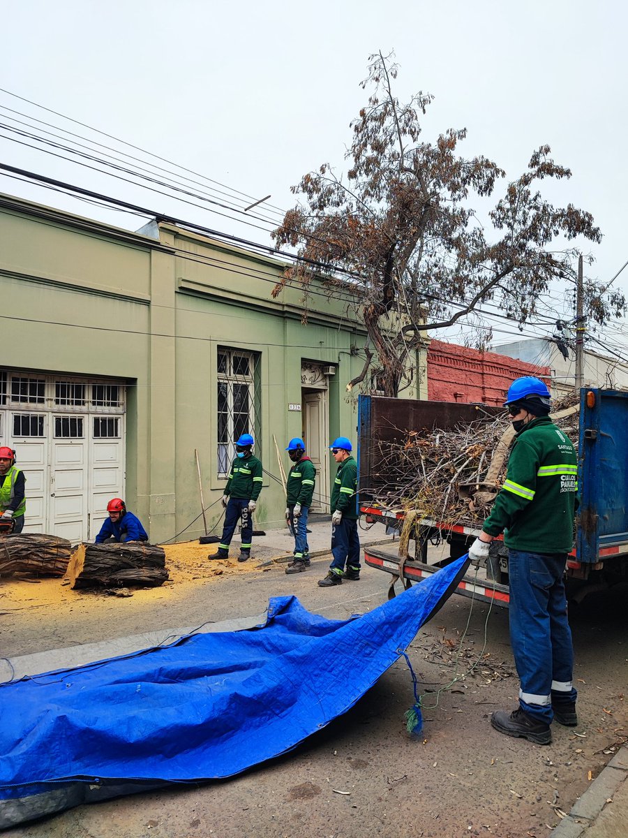 rolanalvarez's tweet image. #BarrioMattaSur El equipo de jardines del @Muni_Stgo haciéndose presentes para  el retiro del árbol caído durante la mañana..igual se hace necesario trabajar en plan de gestión y rehabilitación del arbolado urbano..muchos árboles viejos en el barrio.@IraciHassler @amoarbolurbano