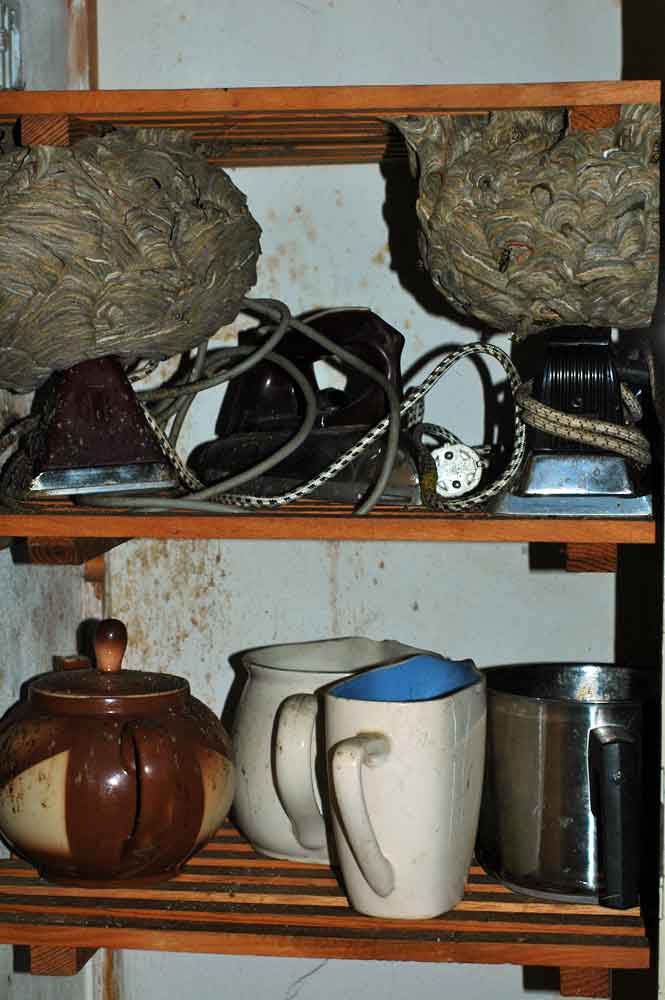 Wespenbekämpfung ist ein heikles Thema, denn es sind Fragen des Artenschutzes zu berücksichtigen. Nach eingehender Beratung (bitte

honighaeuschen.de/produkt/wespen…