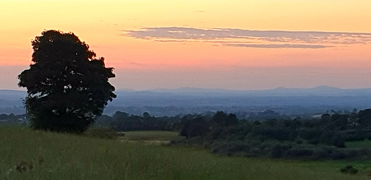 Liam McArdle tweet media