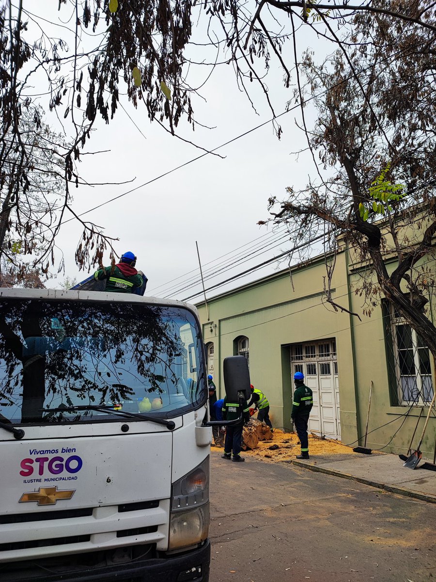 rolanalvarez's tweet image. #BarrioMattaSur El equipo de jardines del @Muni_Stgo haciéndose presentes para  el retiro del árbol caído durante la mañana..igual se hace necesario trabajar en plan de gestión y rehabilitación del arbolado urbano..muchos árboles viejos en el barrio.@IraciHassler @amoarbolurbano