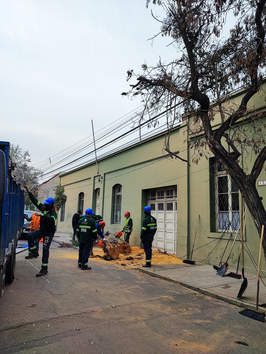 rolanalvarez's tweet image. #BarrioMattaSur El equipo de jardines del @Muni_Stgo haciéndose presentes para  el retiro del árbol caído durante la mañana..igual se hace necesario trabajar en plan de gestión y rehabilitación del arbolado urbano..muchos árboles viejos en el barrio.@IraciHassler @amoarbolurbano