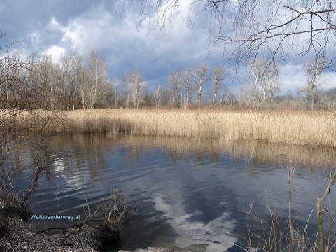 outdooraustria's tweet photo. Die #Wanderung #RundumWien, Etappe 5, vom #Donaukraftwerk #Freudenau über #Donauinsel, #Lobau, #Nationalpark #Donauauen, #Essling, #Breitenlee und #Süßenbrunn nach #Gerasdorf. Hiking #Austria #Vienna #outdoors 2022 https://t.co/6yLwuK3stf Outdoors Austria https://t.co/5trm04Kk6B