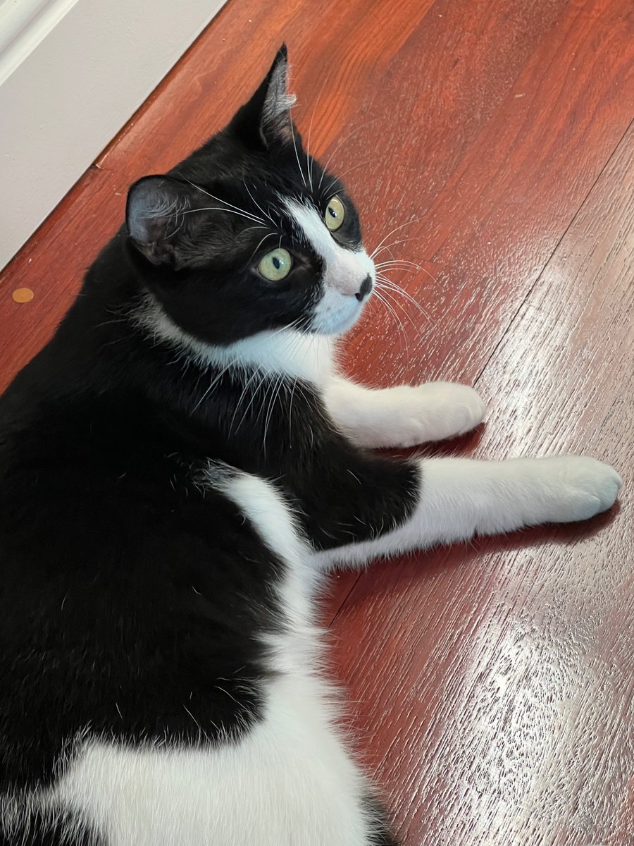 Mom calls me little bean