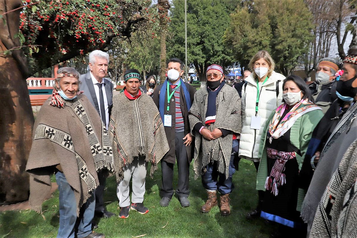 Geoparque Kütralkura tweet media