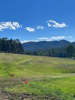 Looking for something fun to do this weekend? Grass on the Gulch is a Family-friendly music festival that is FREE and open to the community!
There will be food trucks, vendors, camping and kids activities -- and live music all weekend long! 
#ad