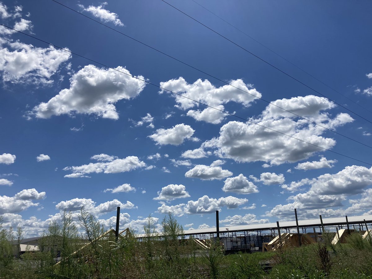 Jon Long tweet media