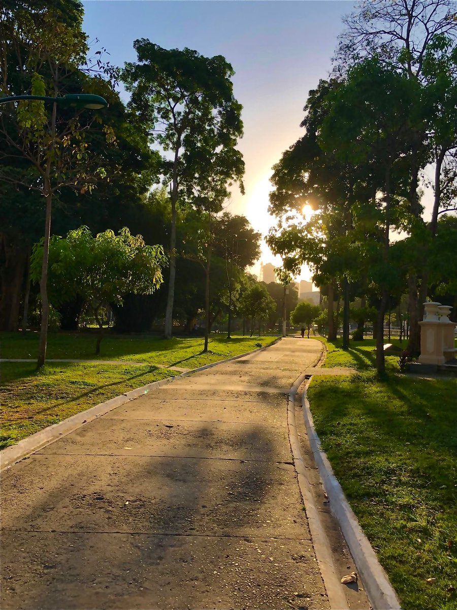 R0drigoNogueira's tweet photo. 📸🌳☀️
#boatarde #pracadarepublica #belém #pará #tardedesol https://t.co/8BYroTKYej