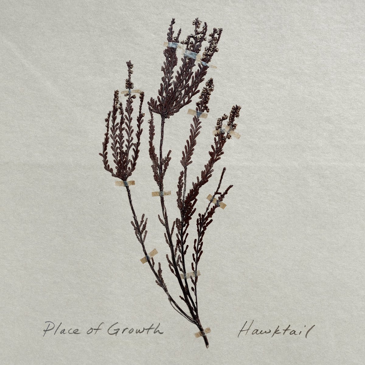 Our new record, Place of Growth, is out now! Click here to listen: lnk.to/placeofgrowth