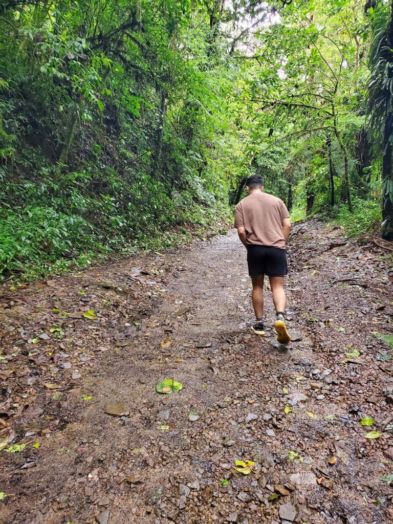 Jacobrodriguez_'s tweet photo. goofing around in the amazon https://t.co/he9cRbAGmO