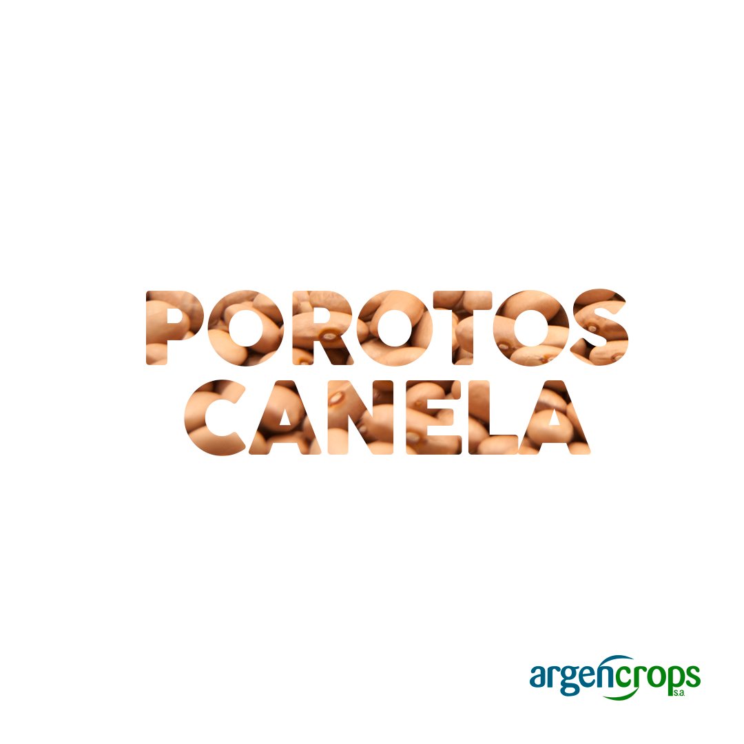 ArgencropsSA's tweet photo. Qué hace especiales a los #PorotosCanela❓

Sí, son muuuy cremosos😋… pero se distinguen por su piel, que es más fina que la de otras legumbres y por eso se destacan por su rápida cocción🍲

Los probaste?
.
#Argencrops #Legumbres #Beans #SinGluten #SinTacc #MetelePorotos https://t.co/FDErRL3TFi