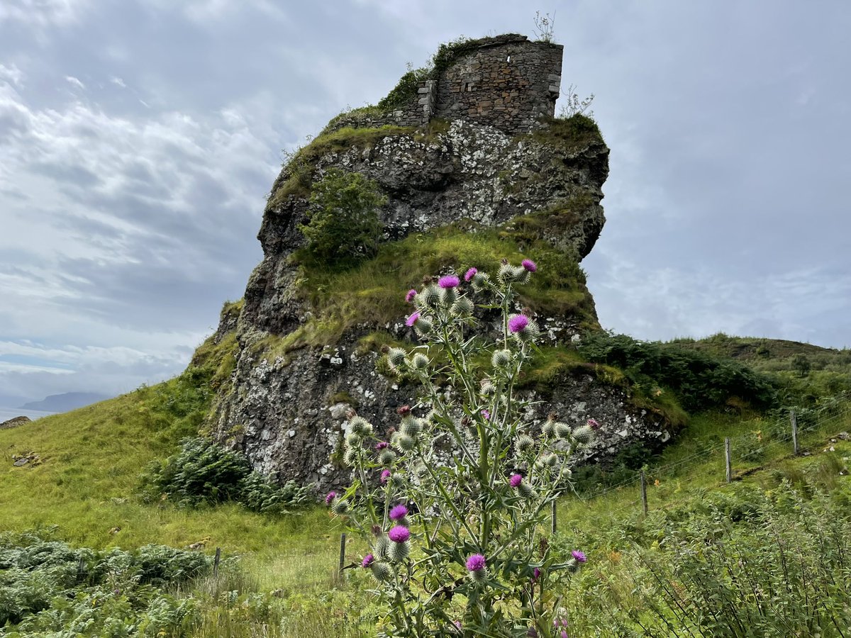 Ilona Turnbull tweet media