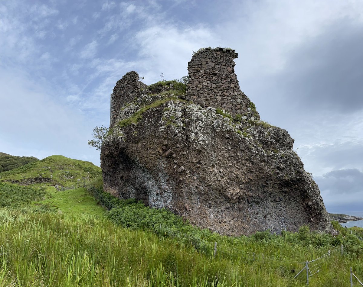 Ilona Turnbull tweet media